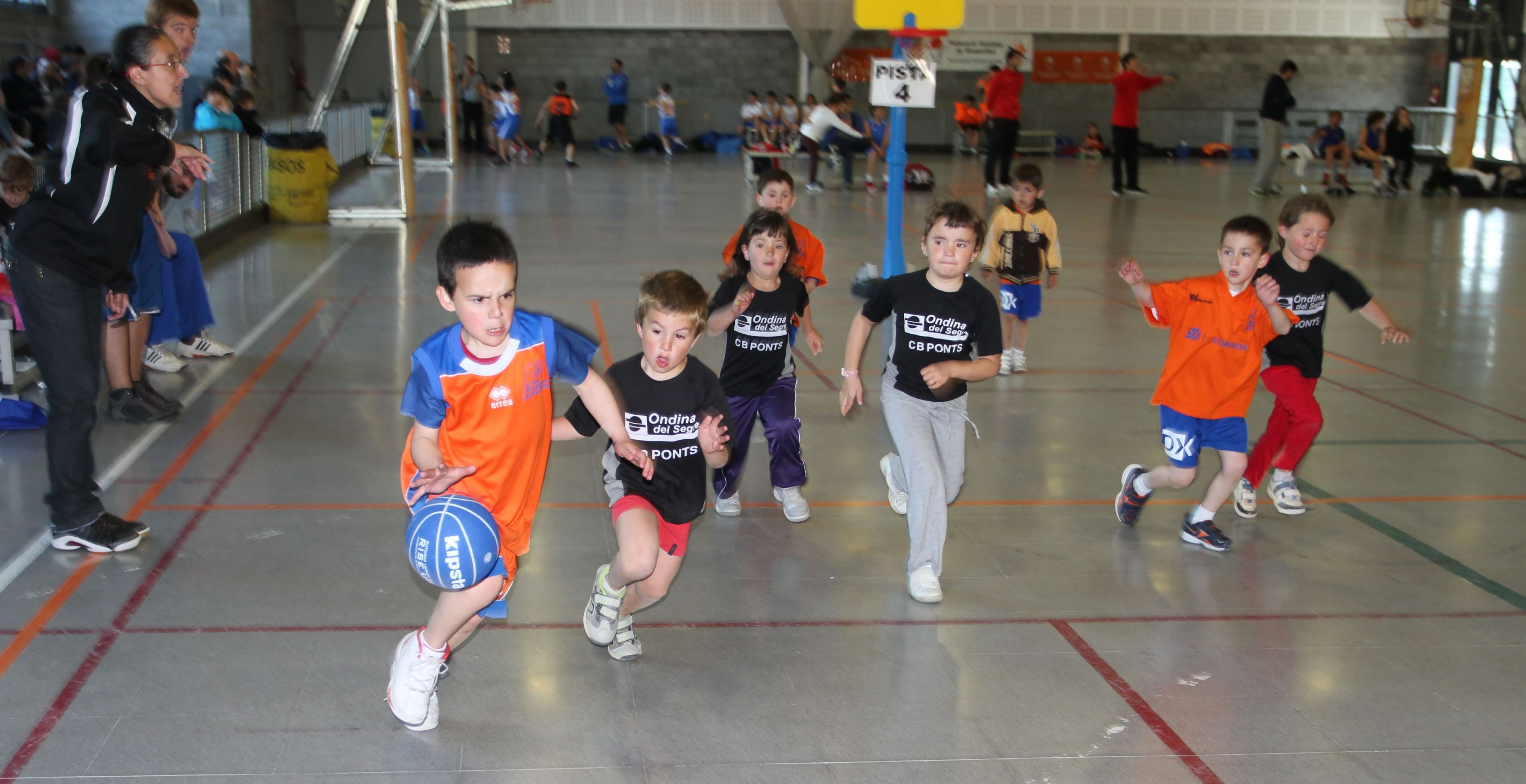 Trobada Final Escoles de Bàsquet 2014 La Seu d'Urgell